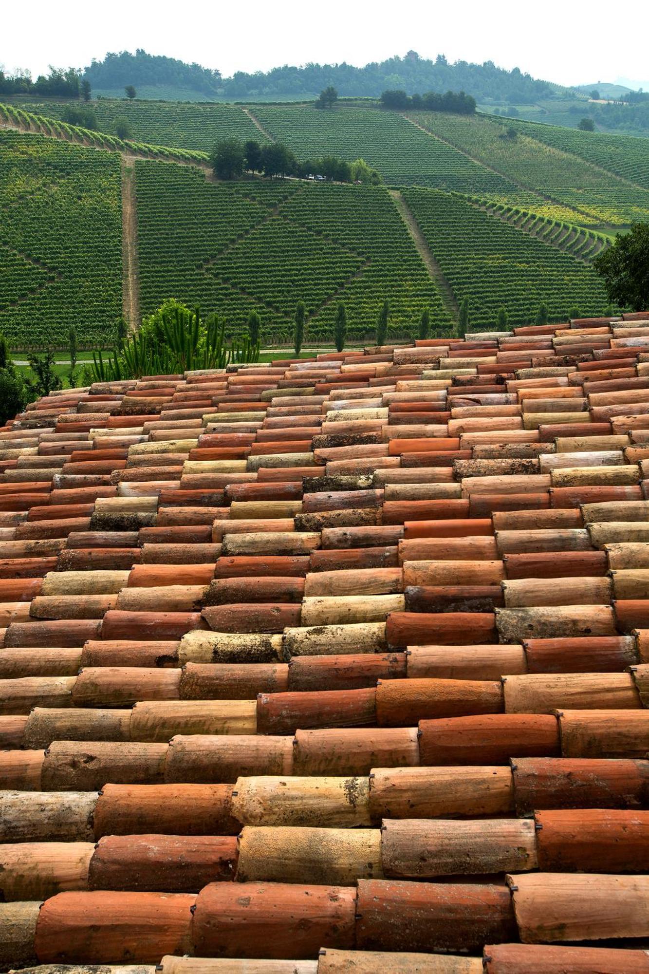 Relais Di Tenuta Santa Caterina B&B Grazzano Badoglio Rum bild