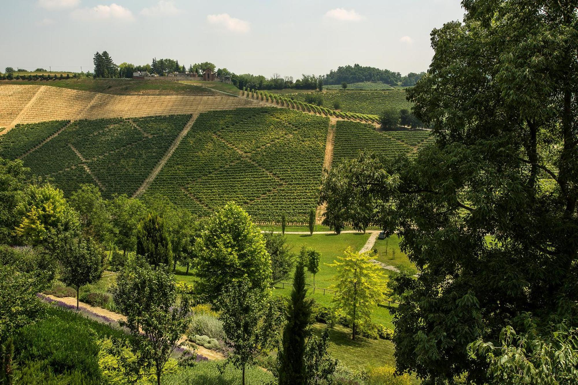 Relais Di Tenuta Santa Caterina B&B Grazzano Badoglio Rum bild